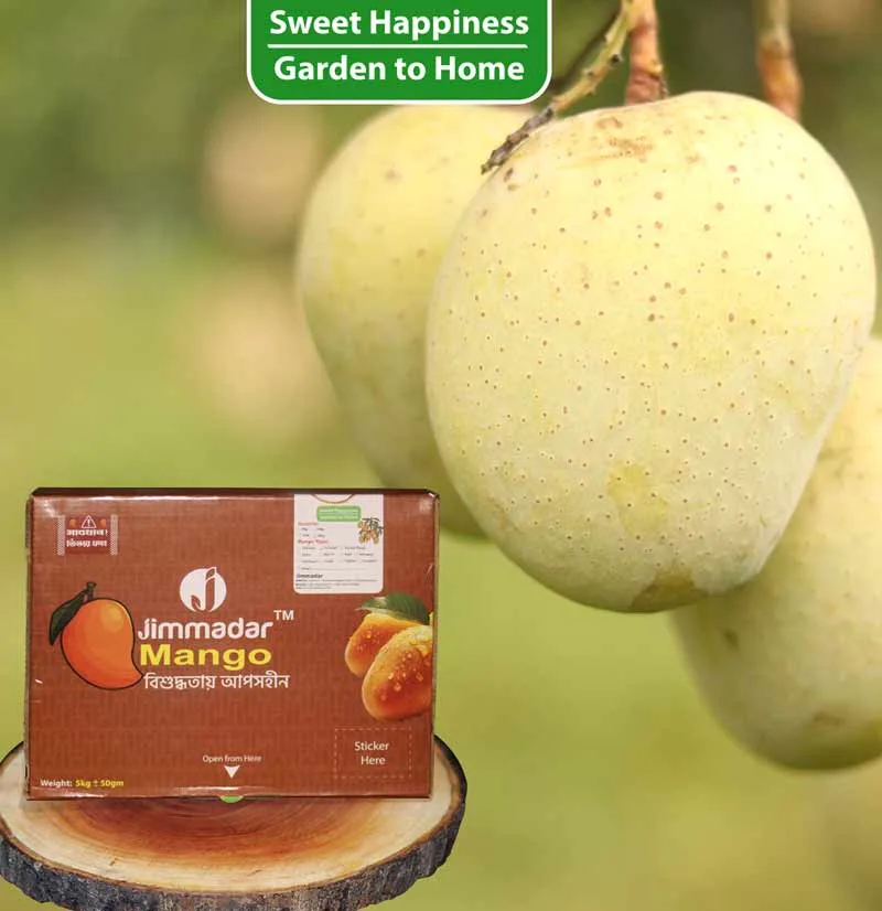 5kg-gouromoti-mango