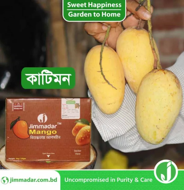 5kg-katimon-mango-jimmadar Katimon Mango price in Bangladesh | Jimmadar